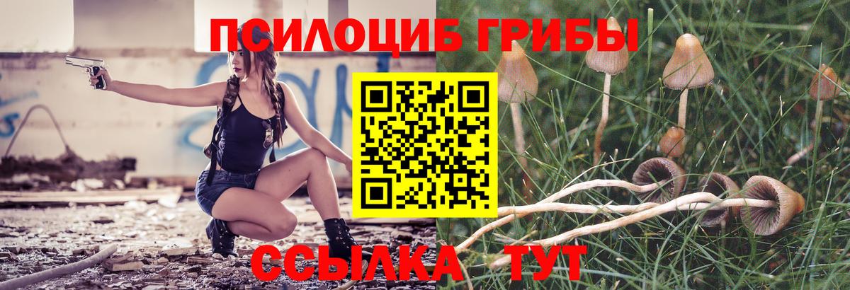 Галлюциногенные грибы мицелий Балаково