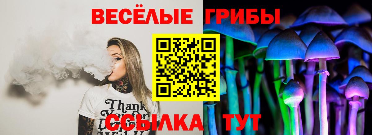 Галлюциногенные грибы мицелий  Вход с VPN  Псилоцибиновые грибы GOLDEN TEACHER  Балаково 
